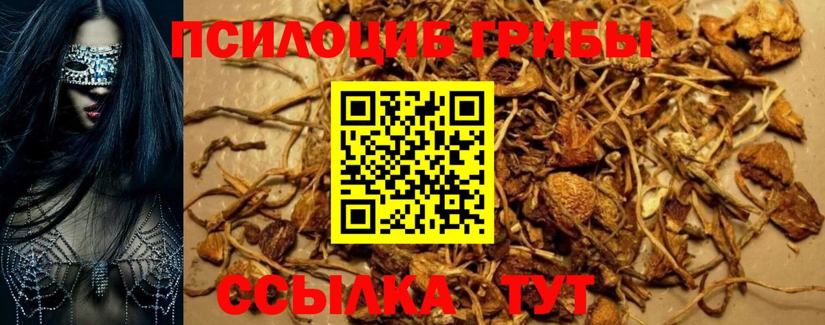 Дербент  Галлюциногенные грибы ЛСД  Вход с VPN 