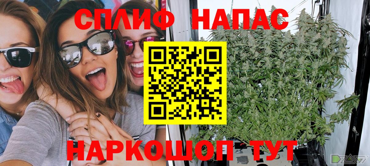 Шишки марихуана SATIVA & INDICA Дербент
